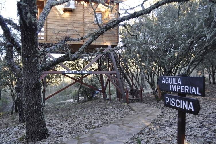 Ecolodge Cabañeros en Pueblonuevo del Bellaque | Cabañas en Ciudad Real